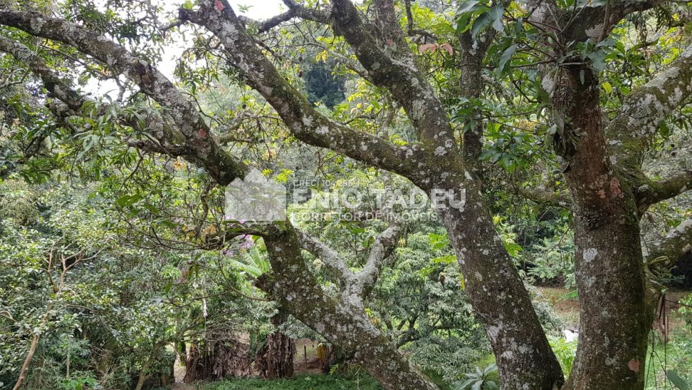 corretortadeu.imudou.com.br