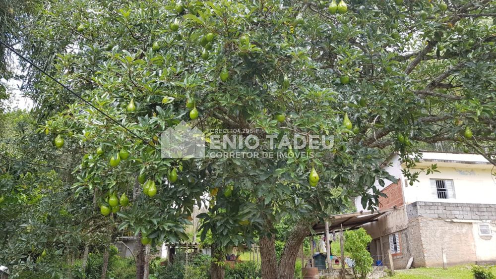 corretortadeu.imudou.com.br