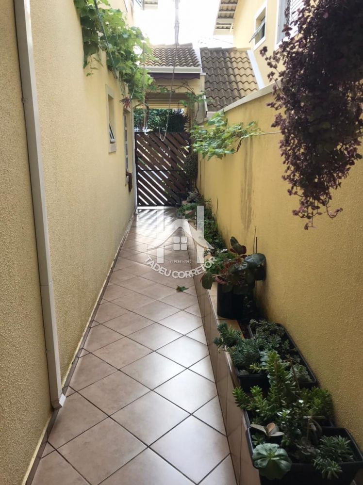 corretortadeu.imudou.com.br